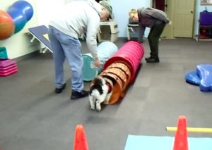 Sasha plays in the gym with Mom and Dad