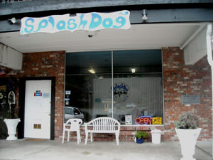 Splash Dog Spa