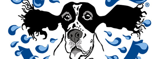 SplashDog Logo