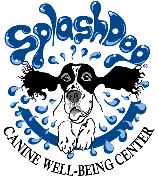 SplashDog Logo