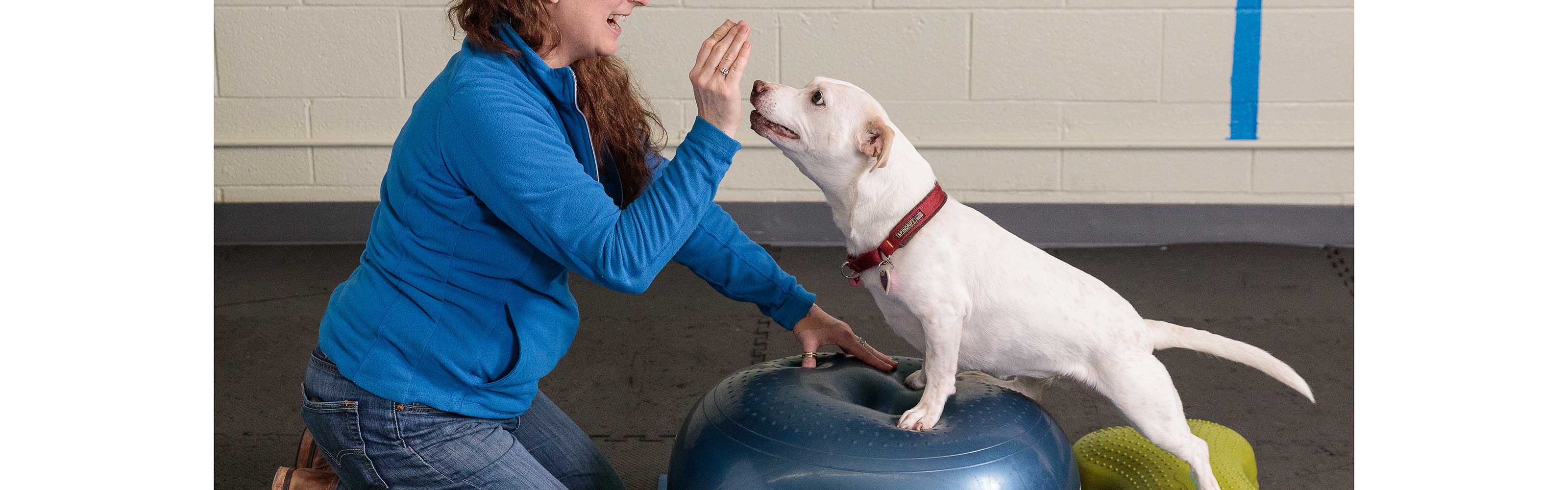  Photo by Clooney Dog & Friends & J.Linn