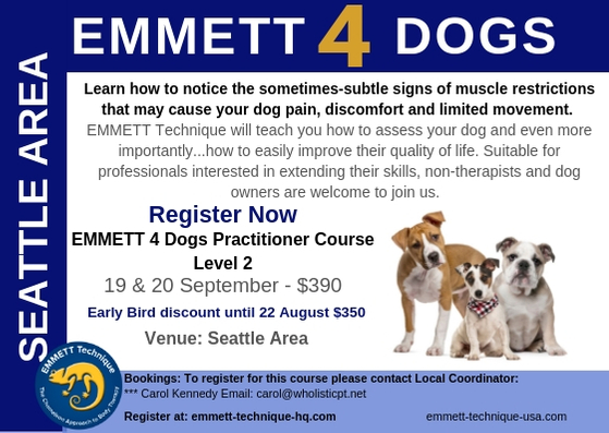 Emmett 4 Dogs