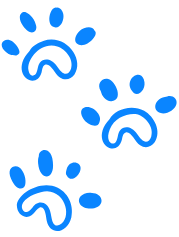 Three blue paw print illustrations arranged diagonally on a light gray background.